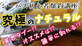 【シーバス初心者爆釣講座】釣れなきゃジグヘッド！使い方やセッティング方法！