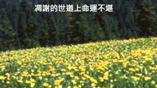 林志炫-菊花台