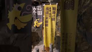 【九州の魅力発見】鯛生金山②