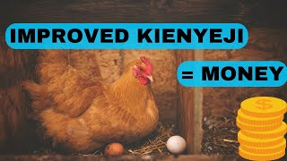 Improved Kienyeji Chicken: How to Raise Profitable Poultry in Kenya | Farming Guide 2024