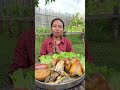 មាន់ដុតទឹកដូង chhom sreypach