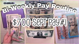 Cash Stuffing $700 | 2 Week Progress