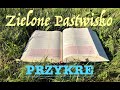 Zielone Pastwisko 31.01.2024 