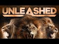 Why The Male Seed Is Under Attack // Unleashed Men's Conference | PART 2