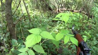 Op: Rat Trap (July 21 2013) hasty ambush in thick brush