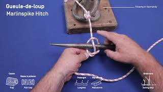 gueule de loup/Marlinspike hitch