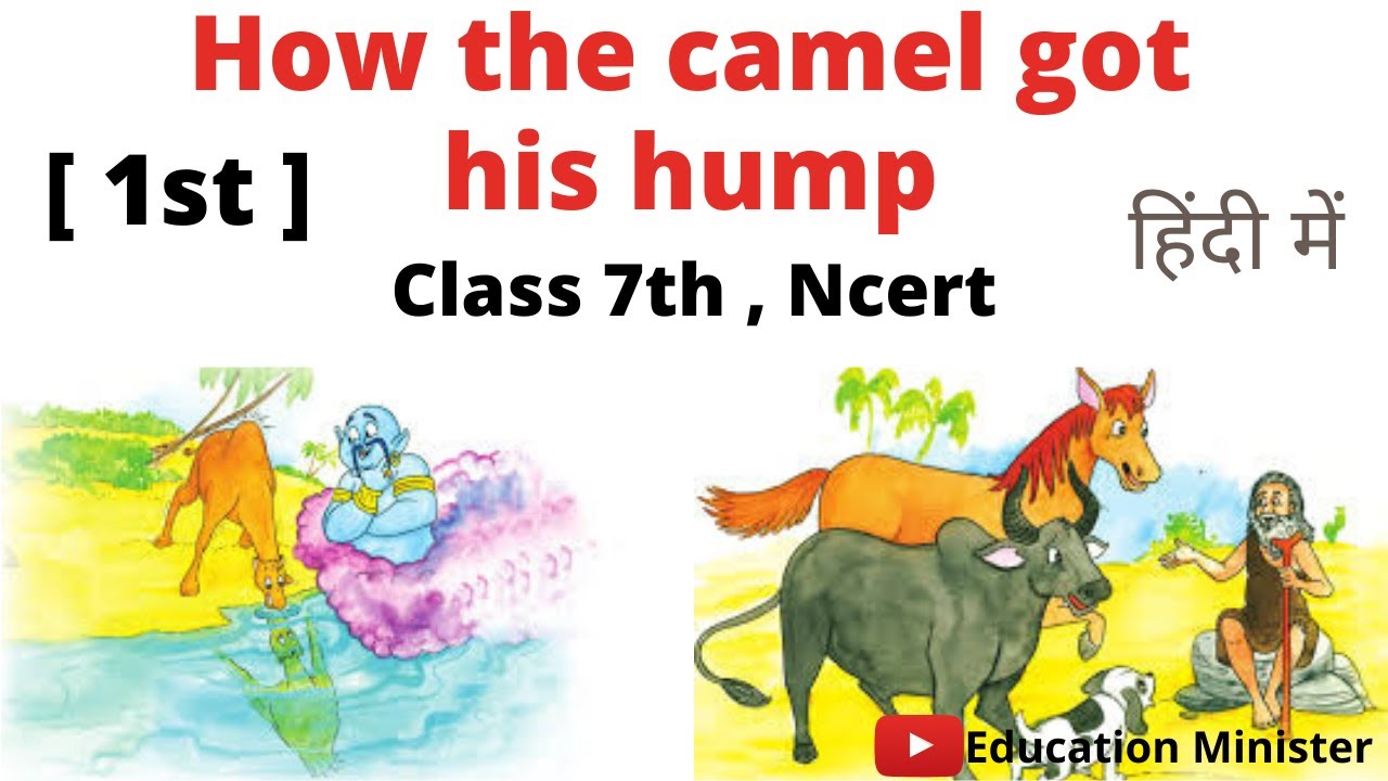 How The Camel Got His Hump Class 8 Summary In Hindi | Chapter 1 NCERT ...