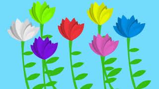 "The Flower Song" - lullaby for learning colors (children's educational song)
