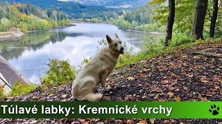 Túlavé labky: Túlačky jesennými Kremnickými vrchmi