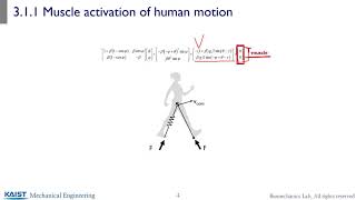 ME585 3.1.1 Intro human motion dynamics with muscle