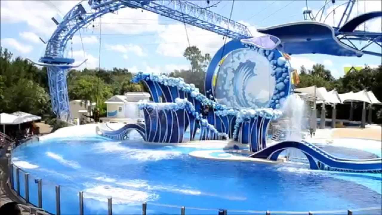 Blue Horizons Dolphin Show