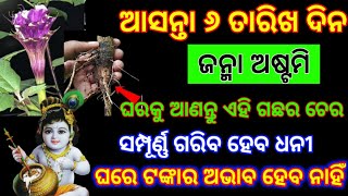 ଜନ୍ମ ଅଷ୍ଟମି ଧନ ବୃଦ୍ଧି ଉପାୟ | Janmashtami odia | dhan vrudhi upay odia | tecbigyan | tecbigyan odia