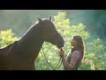 horse haven serenity amidst nature s beauty calming music