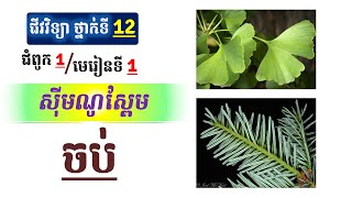 ស៊ីមណូស្ពែម  ជំពូក១ មេរៀនទី១ (មួយចប់)