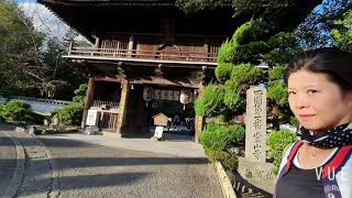 2019.11.04 四國遍路第一番德島靈光寺