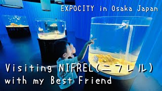 Visited NIFREL(ニフレル) in Osaka Japan with the kids having fun