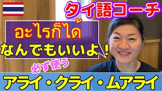 【タイ語】コダイ, ก็ได้のいろんな使い方の紹介です。＃Nomチャンネル＃タイ語＃タイ語コーチ＃ก็ได้