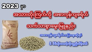 2023 မှာ အသားတိုးကြက်ကို အစာကုန်ကျစရိတ်သက်သာစွာမွေးမြူနည်း။