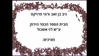 השפעת שמן ציפורן על התרבות חיידקי סטפילוקוקוס אלבוס