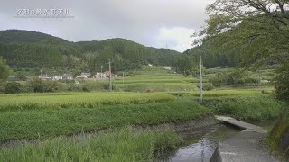 【佐賀県唐津市の風景：4K映像】夕刻の厳木町天川[厳木町天川](令和4年8月19日撮影）