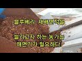 피티모스 자동 해면기