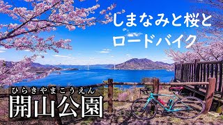 【2020/4/5】愛媛でもっとも人気の桜名所にロードバイクで行ってみた！in【開山公園】