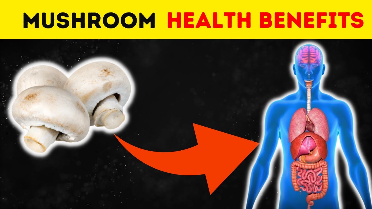 Mushroom Benefits And Side Effects - Health Benefits Of Mushroom - YouTube