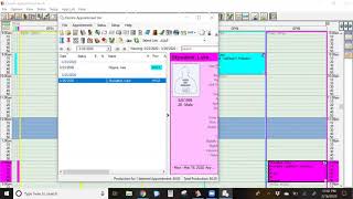 Miscellaneous Dentrix Appointment Book Tips by Practice Strategies