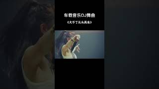 车载音乐DJ舞曲 (大不了从头再来)