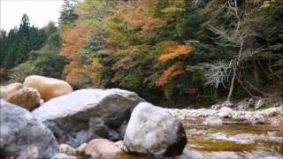 宮崎県日之影町見立渓谷　紅葉　11月　GX7