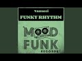 Funky Rhythm (Original Mix)