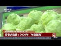 中国新闻 金鼠新春倒计时 准备好过年了吗？ cctv中文国际