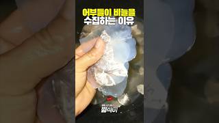 어부들이 비늘을 수집하는 이유