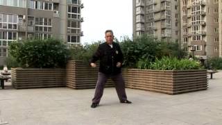 Feng Zhiqiang Part 1 - Form Demonstration 2011