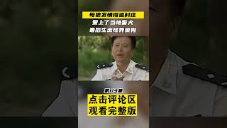 Pt1/3 母狼发情闯进村庄，爱上了当地警犬，让研究人员高兴坏了！#船长动物园 #动物科普 #狼 #shorts