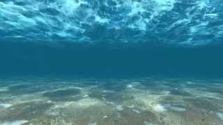 Wave of underwater for website background video - crackcodex