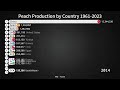 peach production by country 1961 2023