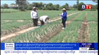 Khmer Agriculture - Garlic Farming in Cambodia - Farmer Models of Garlic Farming