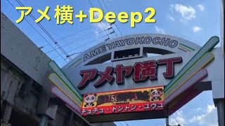 [アメ横＋Deep編 パート2]上野〜御徒町 散歩