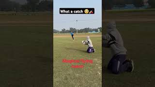 What a Catch! ভাই রে ভাই, এমন ক্যাচ আগে দেখেছেন? 🏏🔥  #cricket #cricketpractice #bpl 2025 #bestcatch