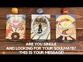Are You Single And Looking For Your Soulmate? This Is Your Message! ✨😍 📨✨ | Timeless Reading