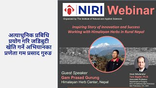 उच्च हिमाली भेगमा अत्याधुनिक प्रबिधि प्रयोग गरि जडिबुटी खेति गर्ने  गम प्रसाद गुरुङ को कथा व्यथा