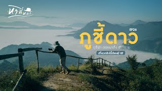 Silent vlog journey to Phu Chi Fa, Phu Chi Dao, and Doi Pha Tang, Chiang Rai | fallinlost Vlog 26