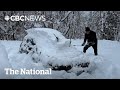 Ontario communities dig out after massive snowfall