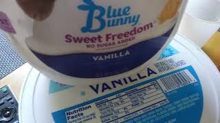 Vanilla Yogurt vs Sugar Free Ice Cream