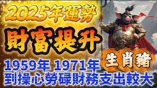 生肖豬2025運勢🐖 有望提升財富層次🥳1959年 1971年到操心勞碌財務支出較大 #生肖 #命理 #開運 #運勢