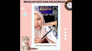 Ubat Kutu Terbaik dan Selamat Untuk Kucing