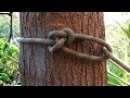 Arborist Knots - How To Tie The Running Bowline Knot