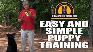 German Shepherd Puppy Training BASICS you NEED to know!!!