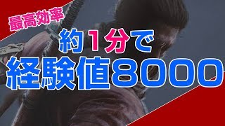 【SEKIRO 隻狼】最高効率！約1分で経験値8000の稼ぎ場所（終盤）/ SUPER FARM MAX! 8000p/1min【消費無し】